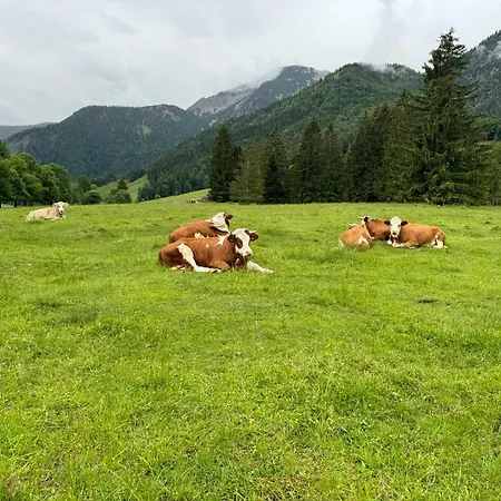 Panorama *