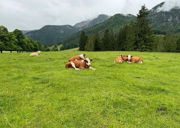 Panorama *